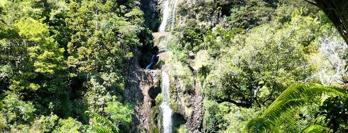 Kitekite Falls is one of Tylerさんのお気に入りスポット.