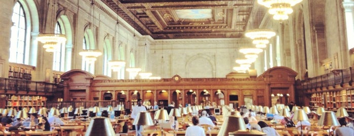 New York Public Library - Stephen A. Schwarzman Building is one of NYC - C&I.