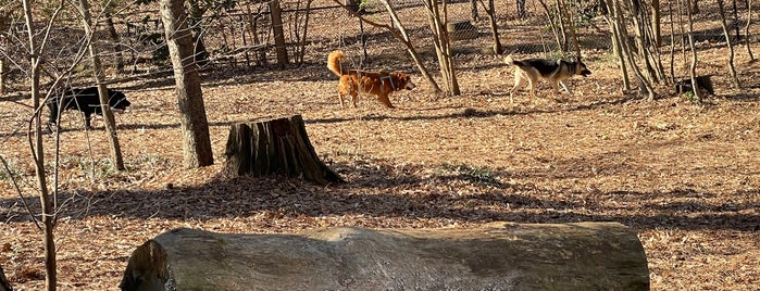 Adair Dog Park is one of The 15 Best Dog Parks in Atlanta.