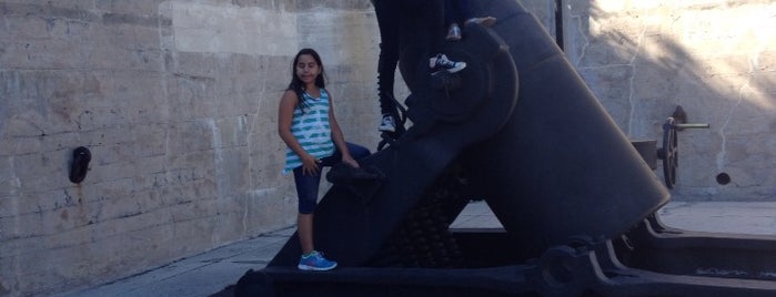 Fort DeSoto Park is one of Yanira’s Liked Places.