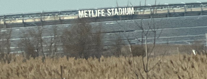 Meadowlands Sports Complex is one of Locais curtidos por Lizzie.