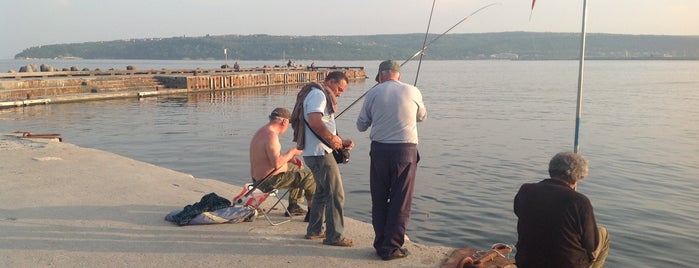 Морската градина is one of Popular Spots in Varna, Bulgaria.