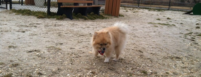 Ocean City Dog Park is one of Eric’s Liked Places.