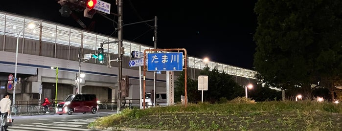 多摩川河川敷 (二子玉川駅側) is one of 多摩川.