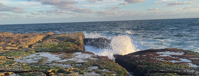 Bondi Beach Lookout is one of Sydney Favorites.