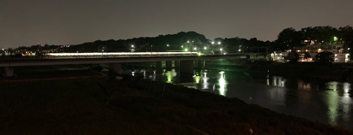丸子橋 西詰 is one of 多摩川.