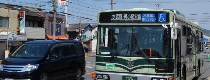 梅小路公園・JR梅小路京都西駅前バス停 is one of 京都市バス バス停留所 4/4.