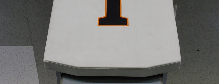 Yomiuri Giants Permanent Missing Plate "1 Sadaharu Oh" is one of モニュメント・記念碑.