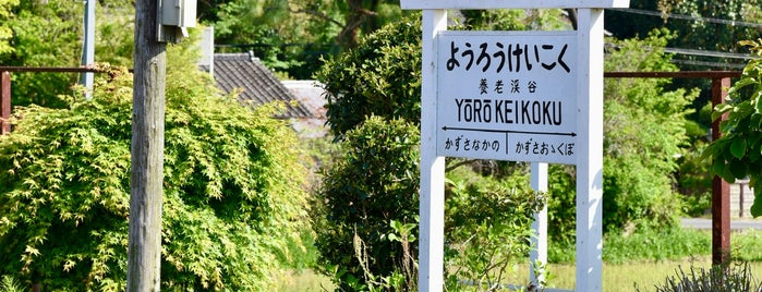 Yoro-Keikoku Station is one of 第2回かんとうみんてつモバイルスタンプラリー.