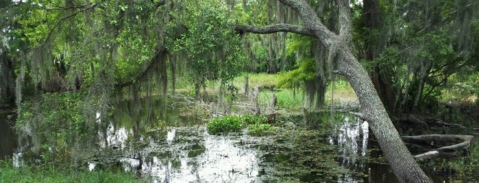 Barataria Preserve is one of Nola Haven't Been.