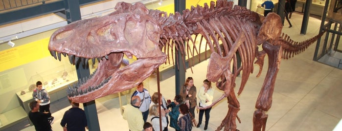 PAS Museo Paleontologico Paleo Ambienti Sulcitani is one of CARBONIA.