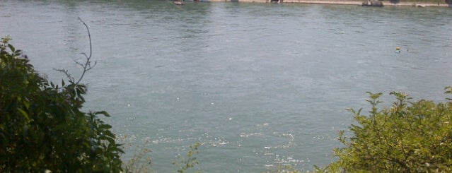 Rhine is one of Switzerland.