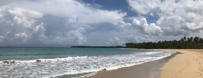 Playa Coson is one of Dominicana.