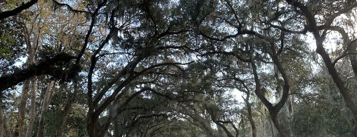 Wormsloe Museum is one of Charlesさんのお気に入りスポット.