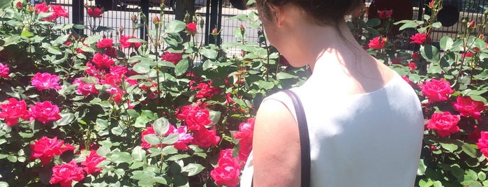 Target Community Garden is one of Summertime bars.