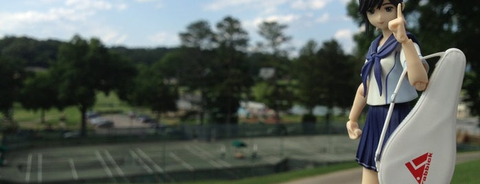 Gadsden Country Club Tennis Courts is one of Toys!.