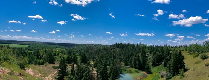 Spruce Woods Provincial Park is one of Orte, die Matthew gefallen.