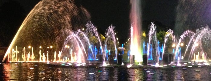 Танцующий фонтан is one of Парк Горького.
