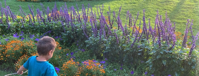 Stanley Park is one of The 15 Best Places for Park in Calgary.