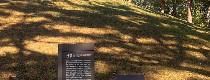 성종대왕릉 Royal Tomb of King Seongjong is one of Seoul visited.