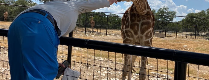 Natural Bridge Wildlife Ranch is one of SA to-do list.