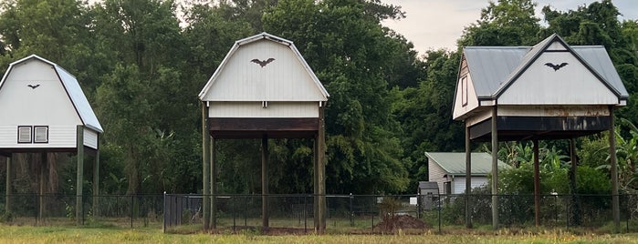 Bat House is one of Gainesville - Places to go.