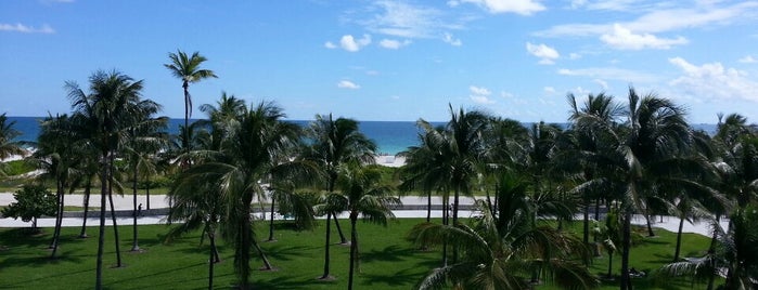 Edgewater South Beach is one of Beach Hotels in Miami Beach.