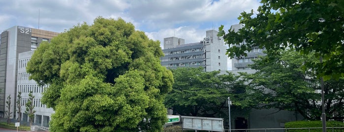 東京工業大学 すずかけ台キャンパス is one of 大学.