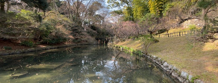 浜松城公園 日本庭園 is one of 公園.