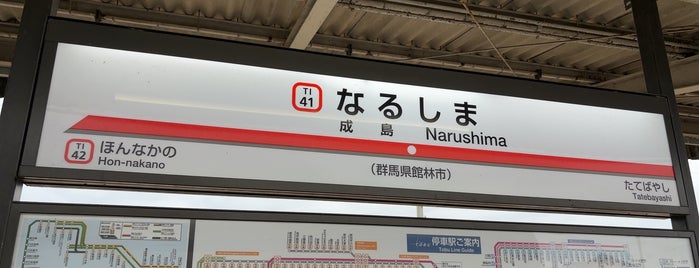 Narushima Station is one of 東武小泉線.