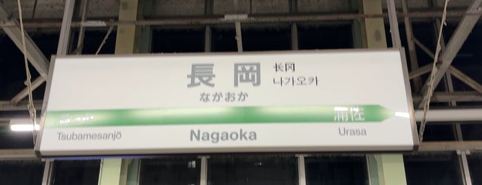 上越新幹線ホーム is one of 駅.