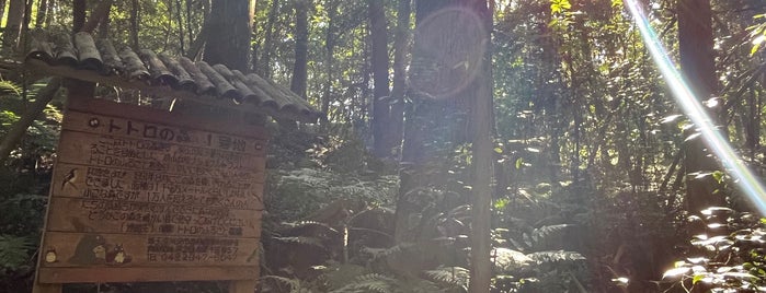 Totoro's Forest is one of Japan To-Do.