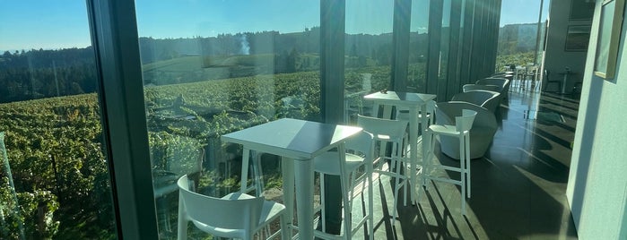 Furioso Vineyards is one of Oregon wine tour.