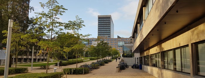 Erasmus University Rotterdam (EUR) is one of Lugares favoritos de Theo.