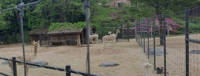 Children's Grand Park Zoo is one of Seoul for Ethan.