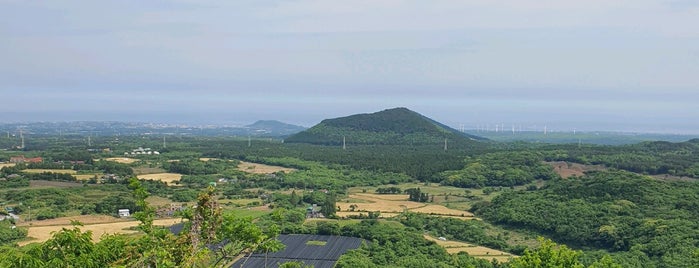 거문오름 is one of Jeju.