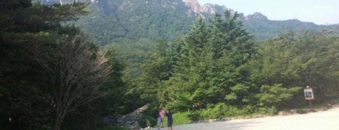 Seoraksan National Park is one of Gangwon Province: Sokcho & Seoraksan National Park.