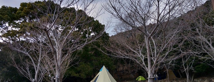丸山キャンプ場 is one of 無料キャンプ場.