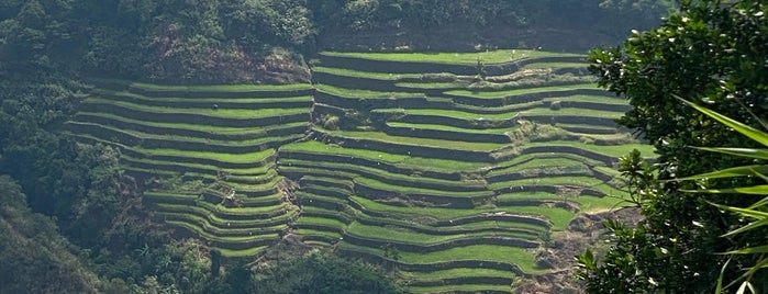 Banaue Rice Terraces Viewpoint is one of Philippines.