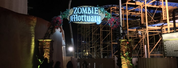Zombie Mortuary is one of Busch Gardens Tampa.