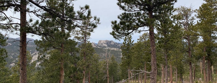 Norbeck Scenic Byway, Blackhills Forest is one of South Dakota.