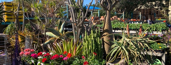 Merrihew's Sunset Gardens is one of LA Top Shops.