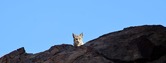 Hueco Tanks State Park is one of El Paso, TX Trip (2019).