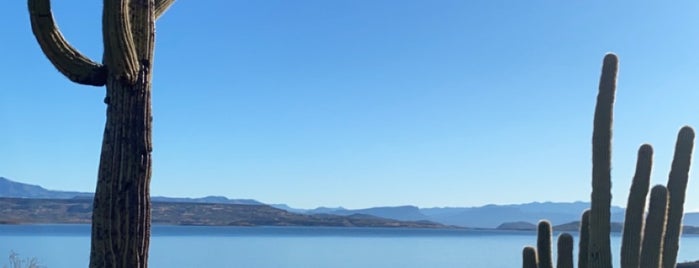 Roosevelt Lake is one of Out west stops.