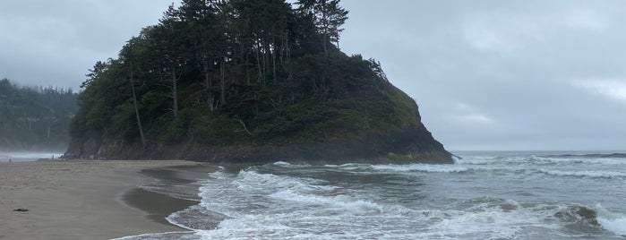 Neskowin State Beach is one of Bay Area - Portland - Seattle.