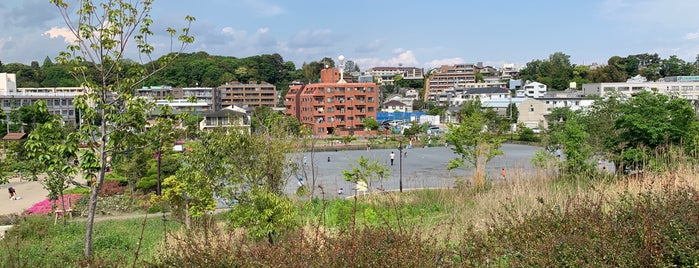 Parkrun Tokyo - Futako Tamagawa Park is one of Japan.