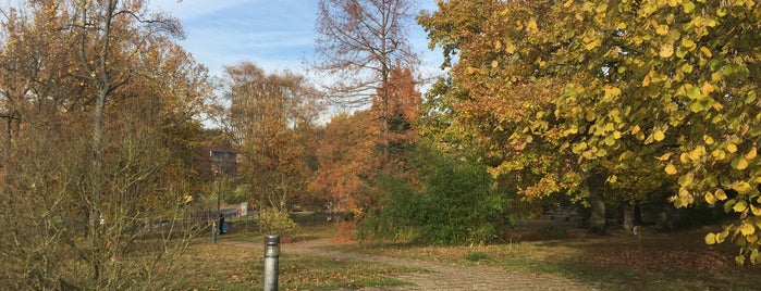 Botanischer Garten der UdS is one of Berlin.