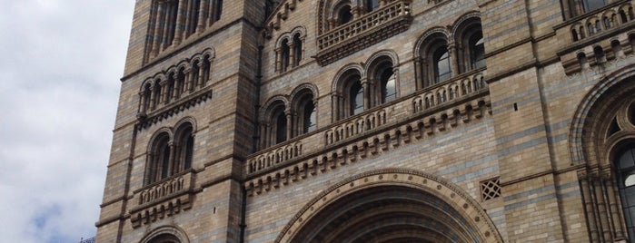 Natural History Museum is one of London 2014.