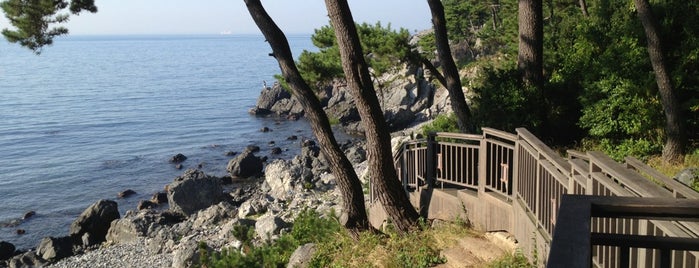 Dongbaekseom Island Trail is one of SolBridgers' Survival Guide.