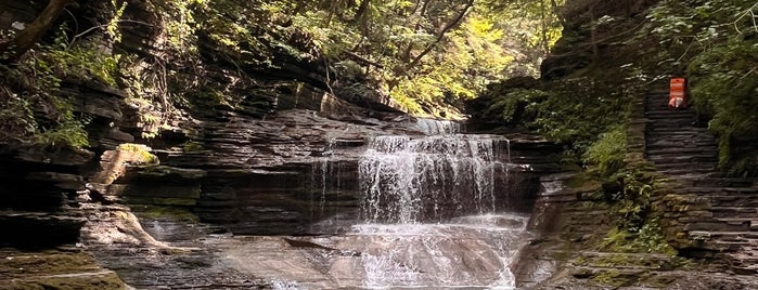 Buttermilk Falls State Park is one of Rachel's Saved Places.